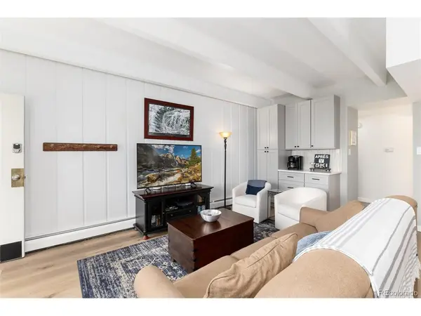370 E La Bonte #B-E, Dillon, CO 80435