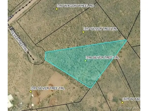 1398 Silver Tree, Crestone, CO 81131