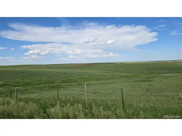 37875 Highway 86, Agate, CO 80101