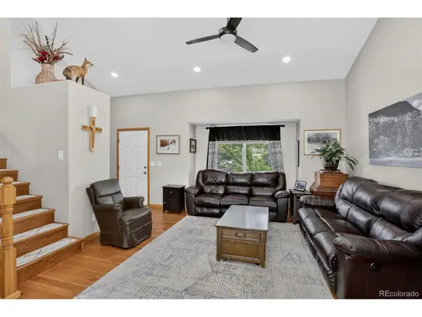 582 Traildust, Milliken, CO 80543