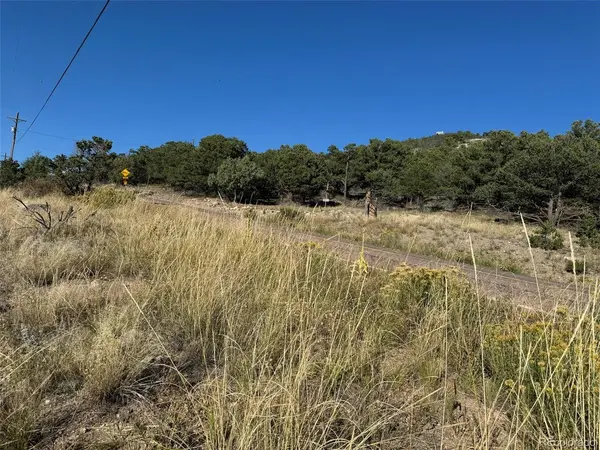 50 Copper Gultch Road, Cotopaxi, CO 81223