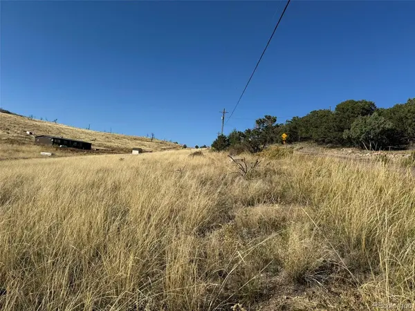 50 Copper Gultch Road, Cotopaxi, CO 81223
