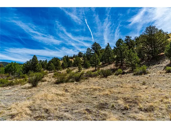 1282 County Road 169a, Cotopaxi, CO 81223