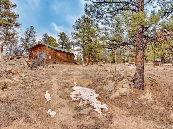 1462 Pulver, Lake George, CO 80827