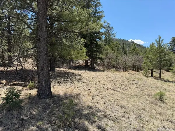 477 Bear Peak, Westcliffe, CO 81252