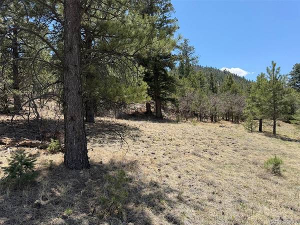477 Bear Peak, Westcliffe, CO 81252