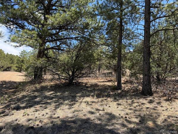 477 Bear Peak, Westcliffe, CO 81252
