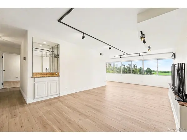 1313 N Williams #705, Denver, CO 80218