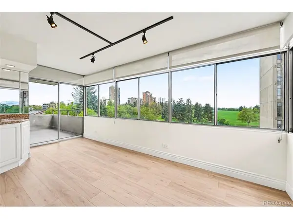 1313 N Williams #705, Denver, CO 80218