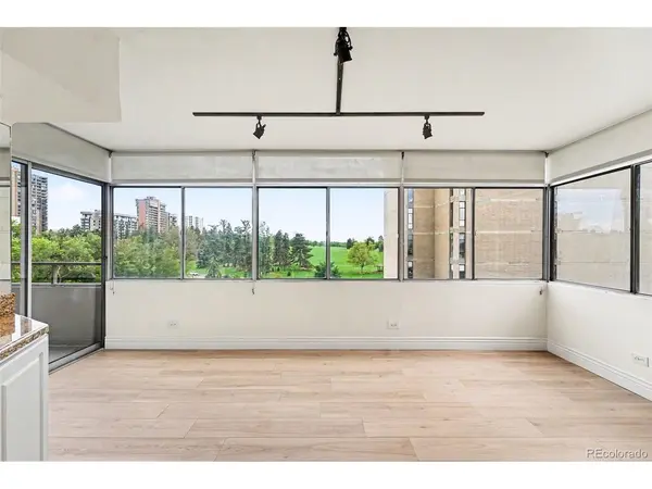1313 N Williams #705, Denver, CO 80218