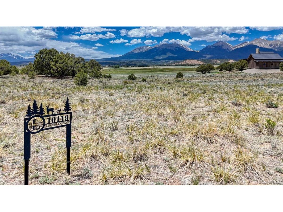 10119 Rawhide Creek, Nathrop, CO 81236