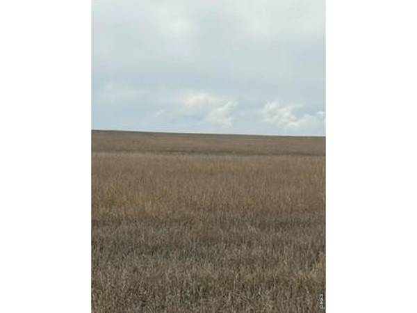 Peoria Crossing, Wiggins, CO 80654