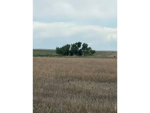 Peoria Crossing, Wiggins, CO 80654