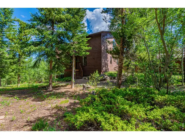 518 Meadow Mountain, Allenspark, CO 80510