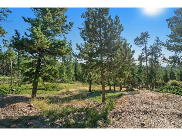 231 Granite, Drake, CO 80515