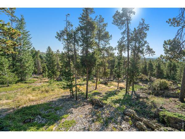 231 Granite, Drake, CO 80515