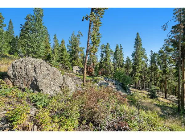 231 Granite, Drake, CO 80515