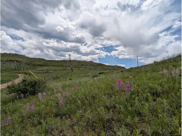 598 Mount Mcconnell, Livermore, CO 80536