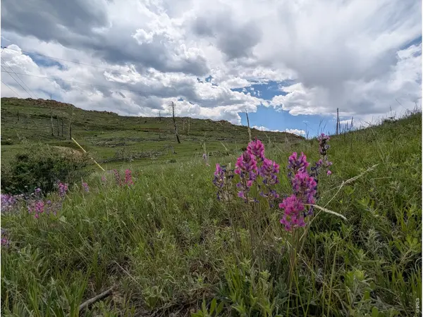 598 Mount Mcconnell, Livermore, CO 80536