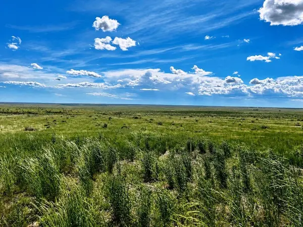 County Road 80, Briggsdale, CO 80611