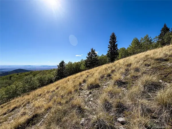 6829 Ryland, Fort Garland, CO 81133