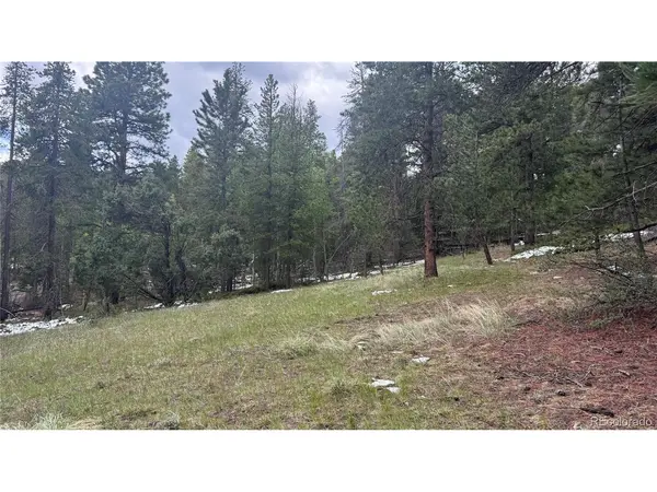 717 Crescent Lake, Golden, CO 80403