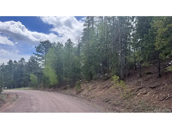 717 Crescent Lake, Golden, CO 80403