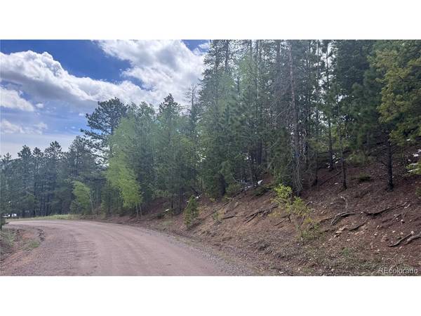 717 Crescent Lake, Golden, CO 80403