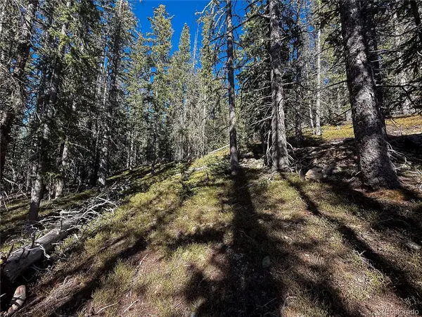 6530 Schluetter, Fort Garland, CO 81133