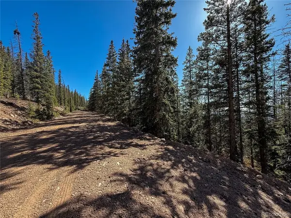 6530 Schluetter, Fort Garland, CO 81133
