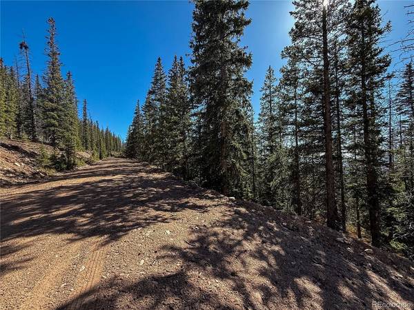 6530 Schluetter, Fort Garland, CO 81133