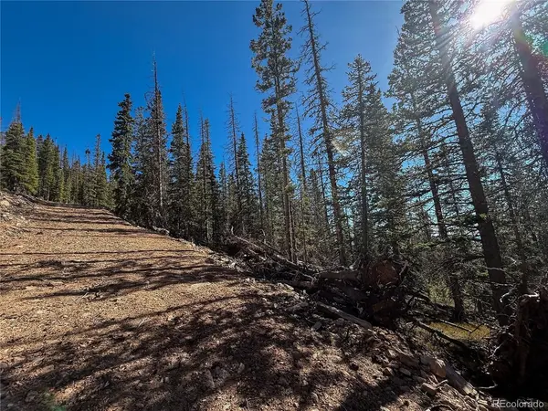 6530 Schluetter, Fort Garland, CO 81133