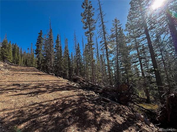 6530 Schluetter, Fort Garland, CO 81133