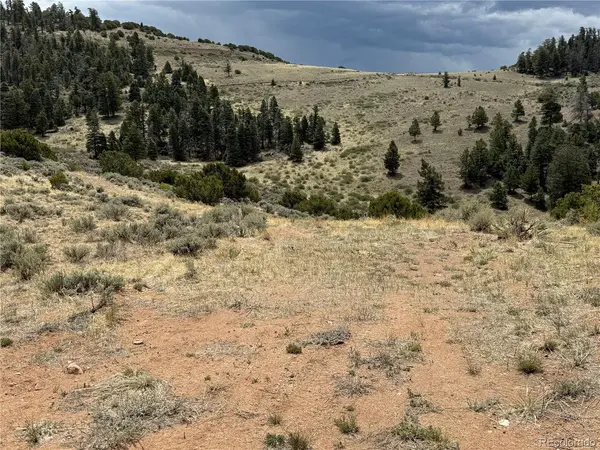 5428 Balleroy, Fort Garland, CO 81133