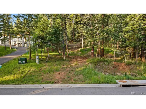 8125 Bannock, Larkspur, CO 80118