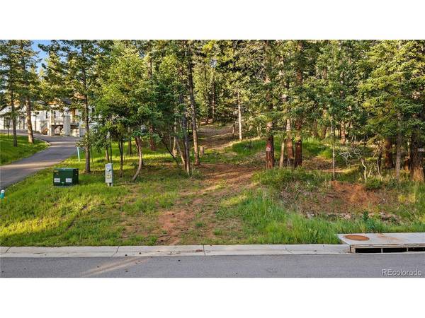 8125 Bannock, Larkspur, CO 80118