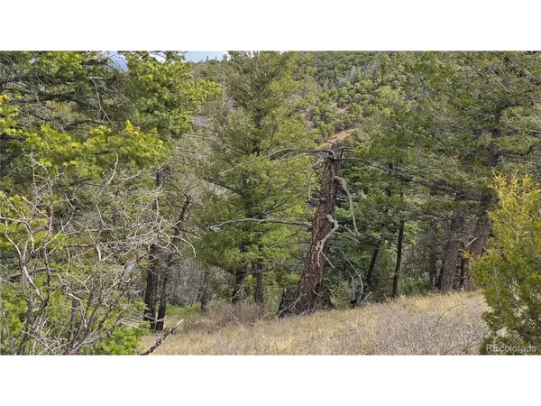 5505 Balleroy, Fort Garland, CO 81133