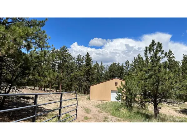 207 Little Bear, Westcliffe, CO 81252