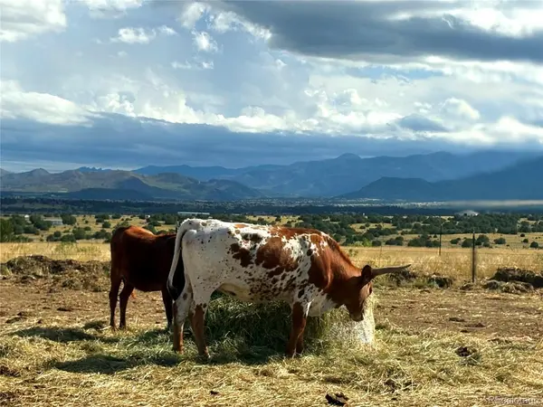 8650 State Highway 67, Florence, CO 81226