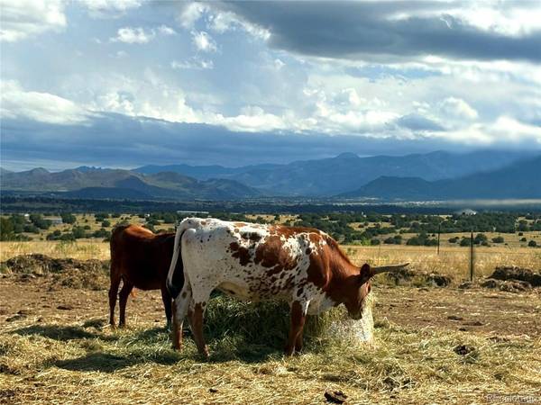 8650 State Highway 67, Florence, CO 81226