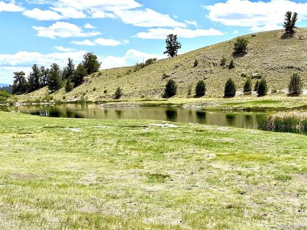 1593 Yellowstone, Hartsel, CO 80449