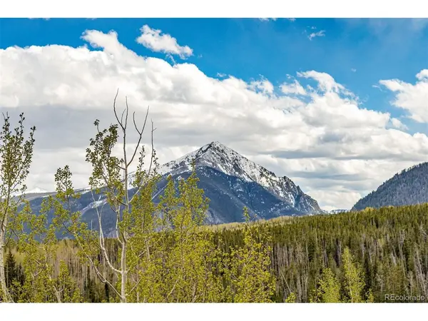 21 Deborah #Share A, Silverthorne, CO 80498