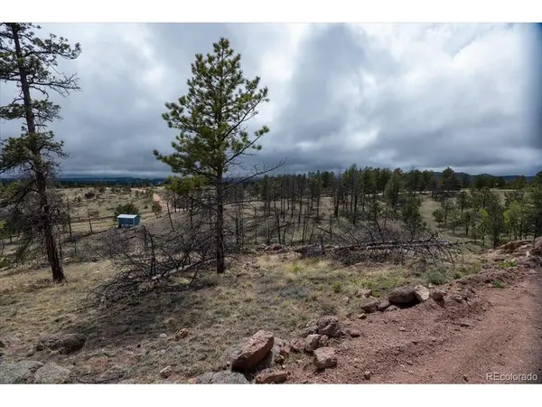 144 Chapparal, Florissant, CO 80816