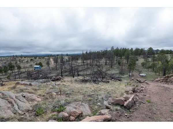 144 Chapparal, Florissant, CO 80816