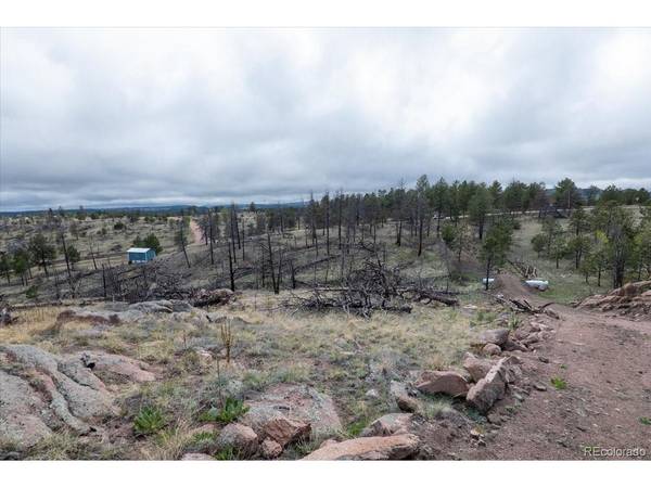 144 Chapparal, Florissant, CO 80816