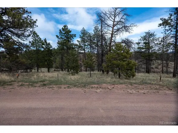 144 Chapparal, Florissant, CO 80816