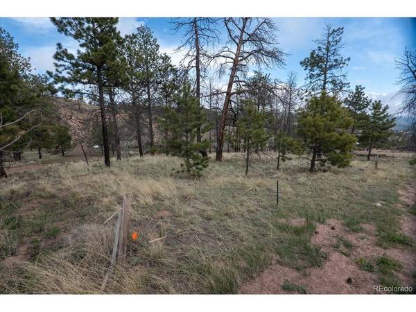 144 Chapparal, Florissant, CO 80816