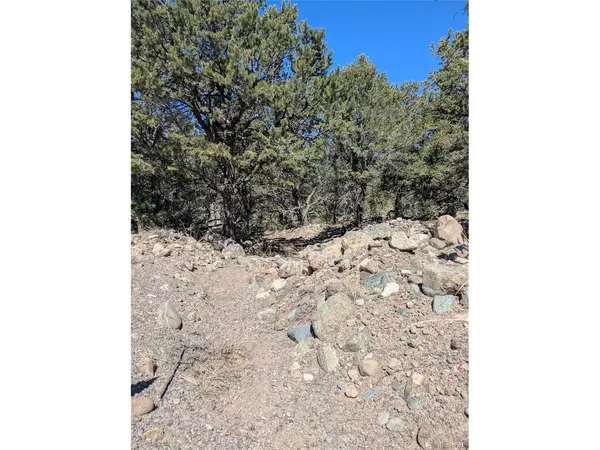 2202 Spanish Creek, Crestone, CO 81131