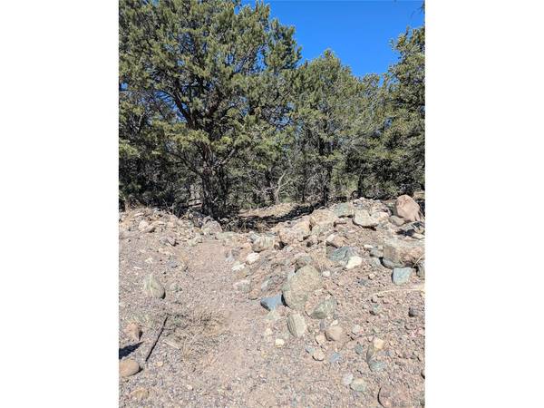 2202 Spanish Creek, Crestone, CO 81131