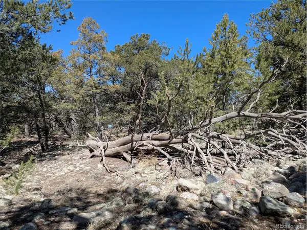 2202 Spanish Creek, Crestone, CO 81131